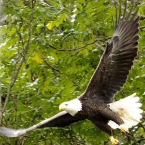 Meet your Posher, Dave